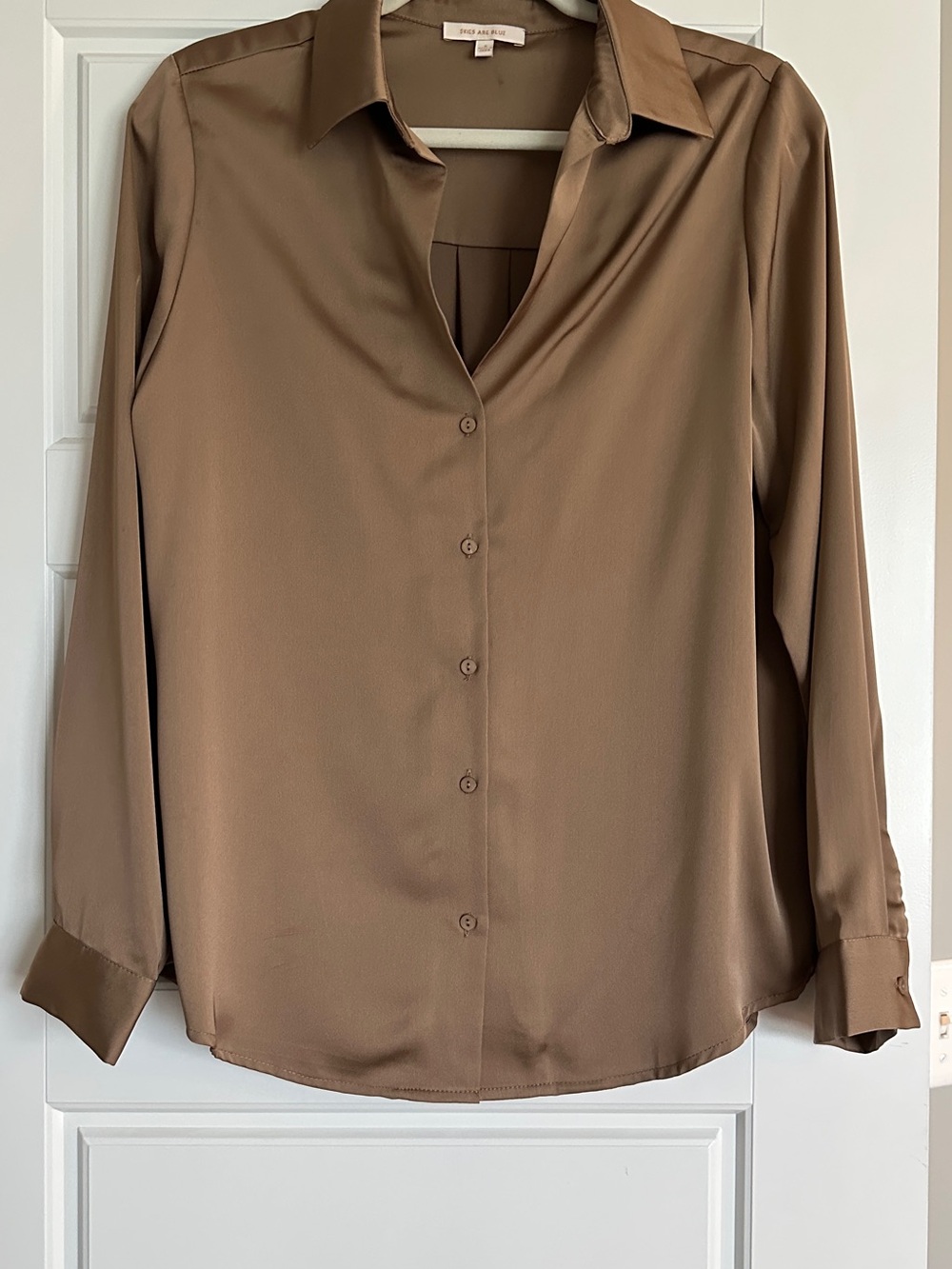 Skies Are Blue Satin Button-Front Blouse in Brown